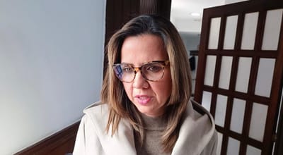 Diputada pide respuesta al compromiso sobre Altos Hornos de México