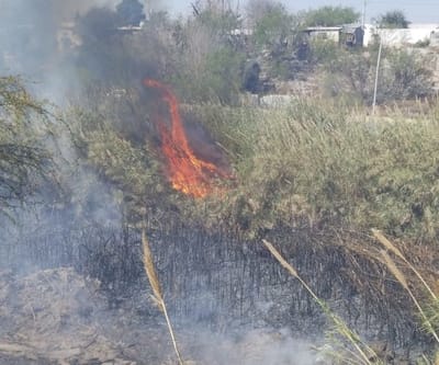 Arde carrizal en el Río Monclova