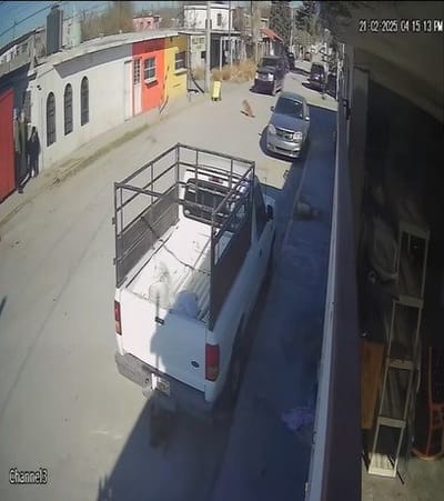 Maltrato animal en Monclova es noticia internacional 