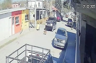 Alcalde destaca la importancia de no generalizar a los monclovenses por acción de maltrato animal