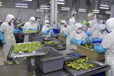 Región Carbonífera se adapta a la nueva era laboral de maquiladoras.