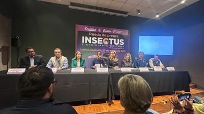 "Insectus": Exposición internacional llega a Saltillo 