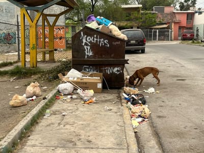 Contenedores saturados y basura desbordada: La problemática de Monclova