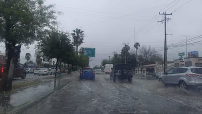 Lluvias elevan riesgo de dengue; piden eliminar criaderos de moscos