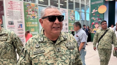 Ejército trabaja en el combate de incendios forestales 