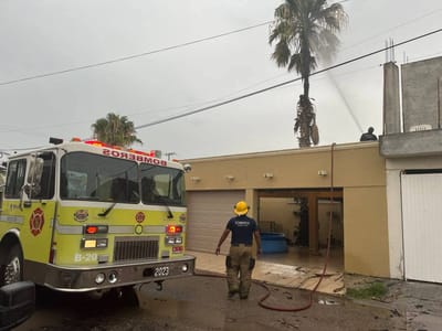Rayo impacta palmera en colonia Arboledas y provoca incendio que alerta a ciudadanos en Sabinas