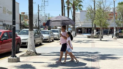 Drogadicción de padres, causa del 100% de los niños institucionalizados  