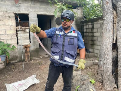 Rescatan víbora en la zona centro de Múzquiz