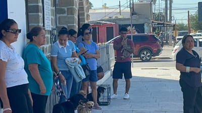 Campaña “Huellitas en Acción” ofrece esterilización gratuita a mascotas Sabinas