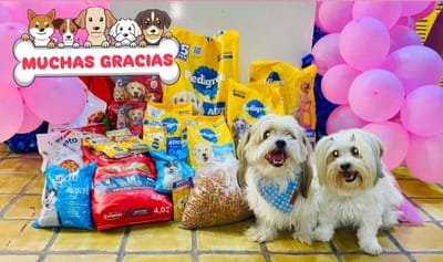 Voluntarios organizan Croquetón en Sabinas para apoyar refugios caninos locales