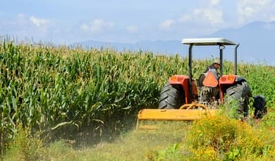 Campesinos podrán financiar maquinaria, ganado e insumos gracias a FIRA
