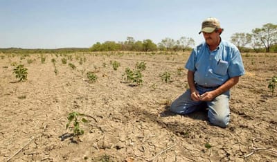 Conagua incumple calendarios y deja al campo sin riego en el norte de Coahuila