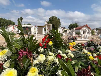 Ecología de Monclova supervisará retiro de flores marchitas en panteones tras Día de Muertos