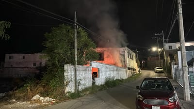 Llamas sorprenden a vecinos en la colonia Guadalupe de Monclova 