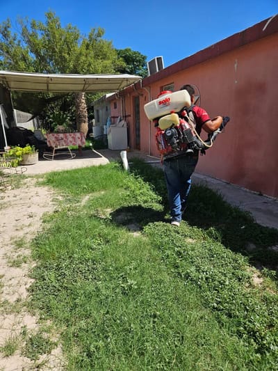 Pese al frío, Salud mantiene operativo contra el dengue en Piedras Negras