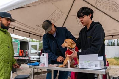 Mascotas reciben atención gratuita durante jornada en Nogalar
