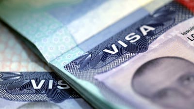 Fraudes con visas láser aumentan por páginas falsas en redes