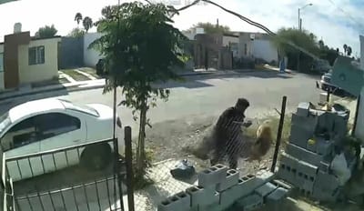 Pandillero agrede perro en Sabinas; denuncian crueldad animal grave