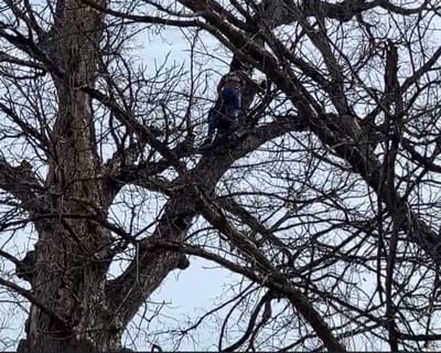 Rescatan a mujer con problemas de salud mental y recibe atención en Ciudad Acuña