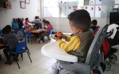Adopciones en Coahuila avanzan con éxito en 2026