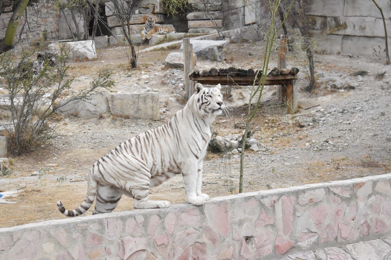 GALERÍA: Abren puertas del Ecoparque Monclova