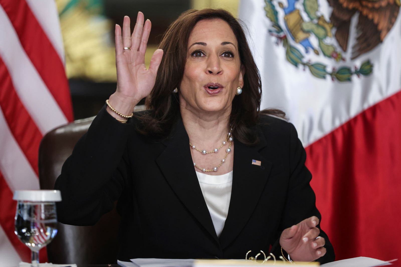 Reunión virtual de AMLO con Kamala Harris
