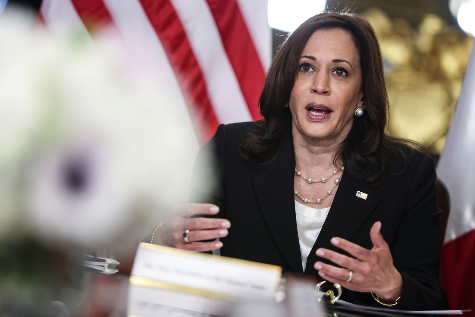 Reunión virtual de AMLO con Kamala Harris