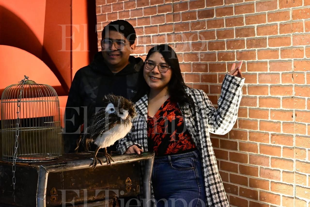 Concierto sinfónico de Harry Potter