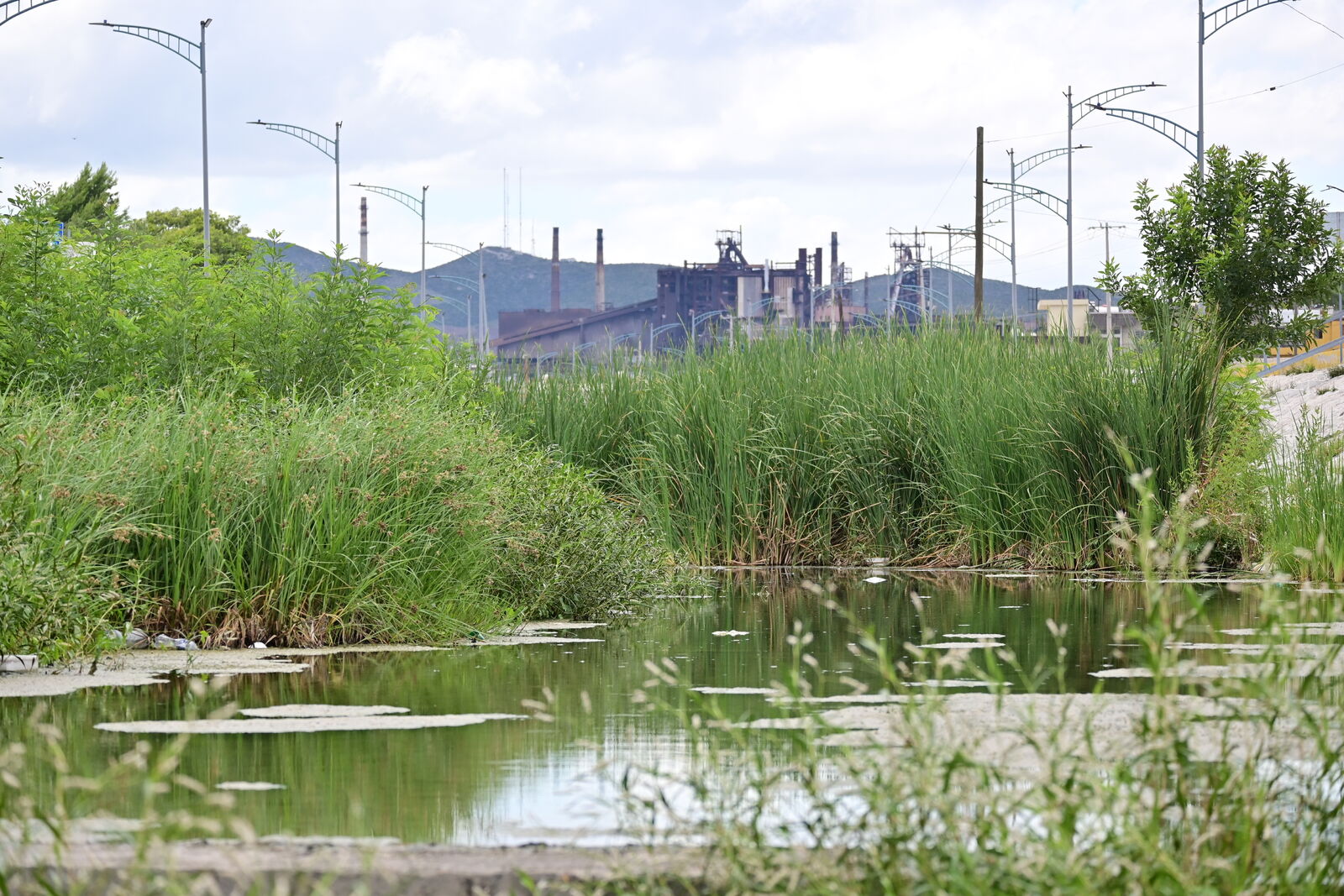 El Río Monclova 