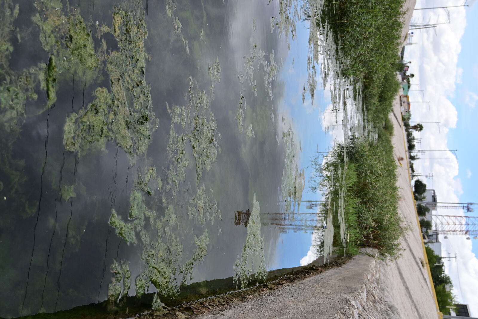 El Río Monclova 