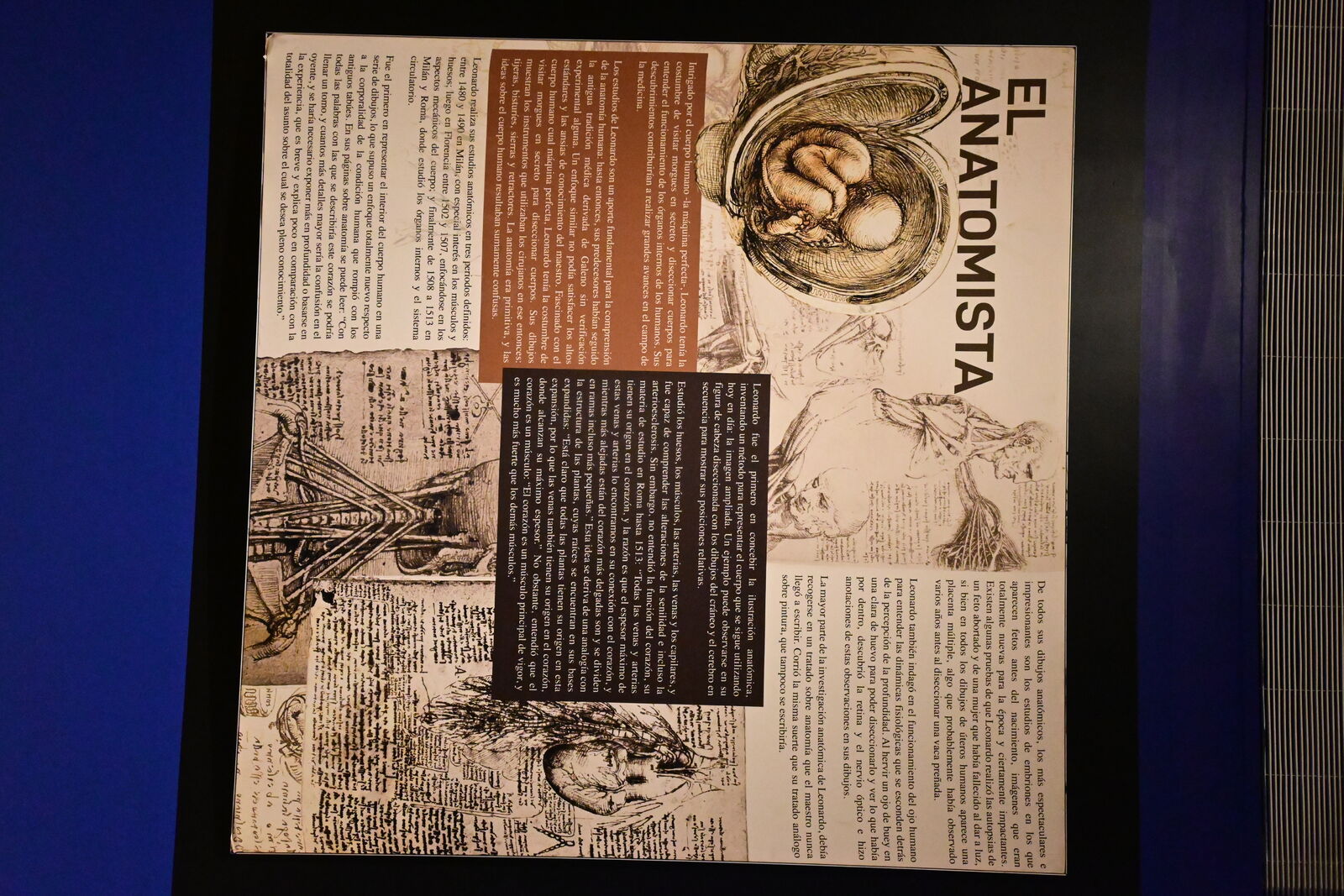 Da Vinci inmersisive 