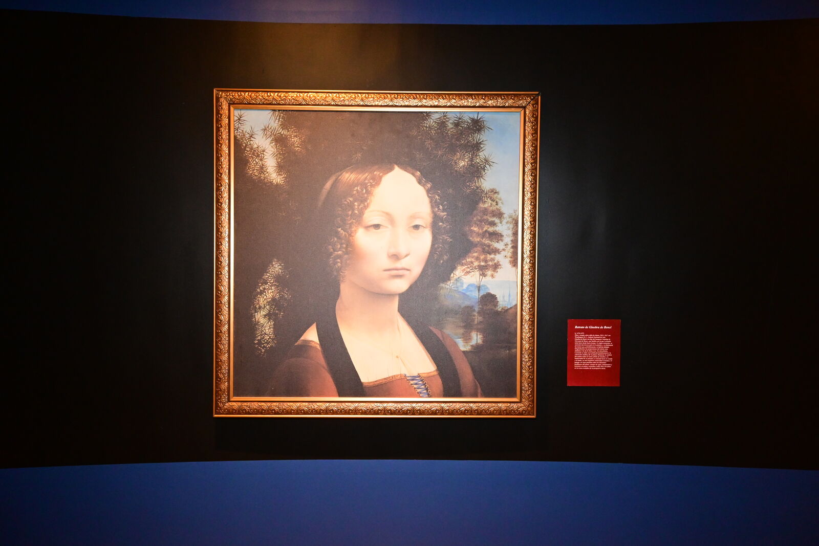 Da Vinci inmersisive 