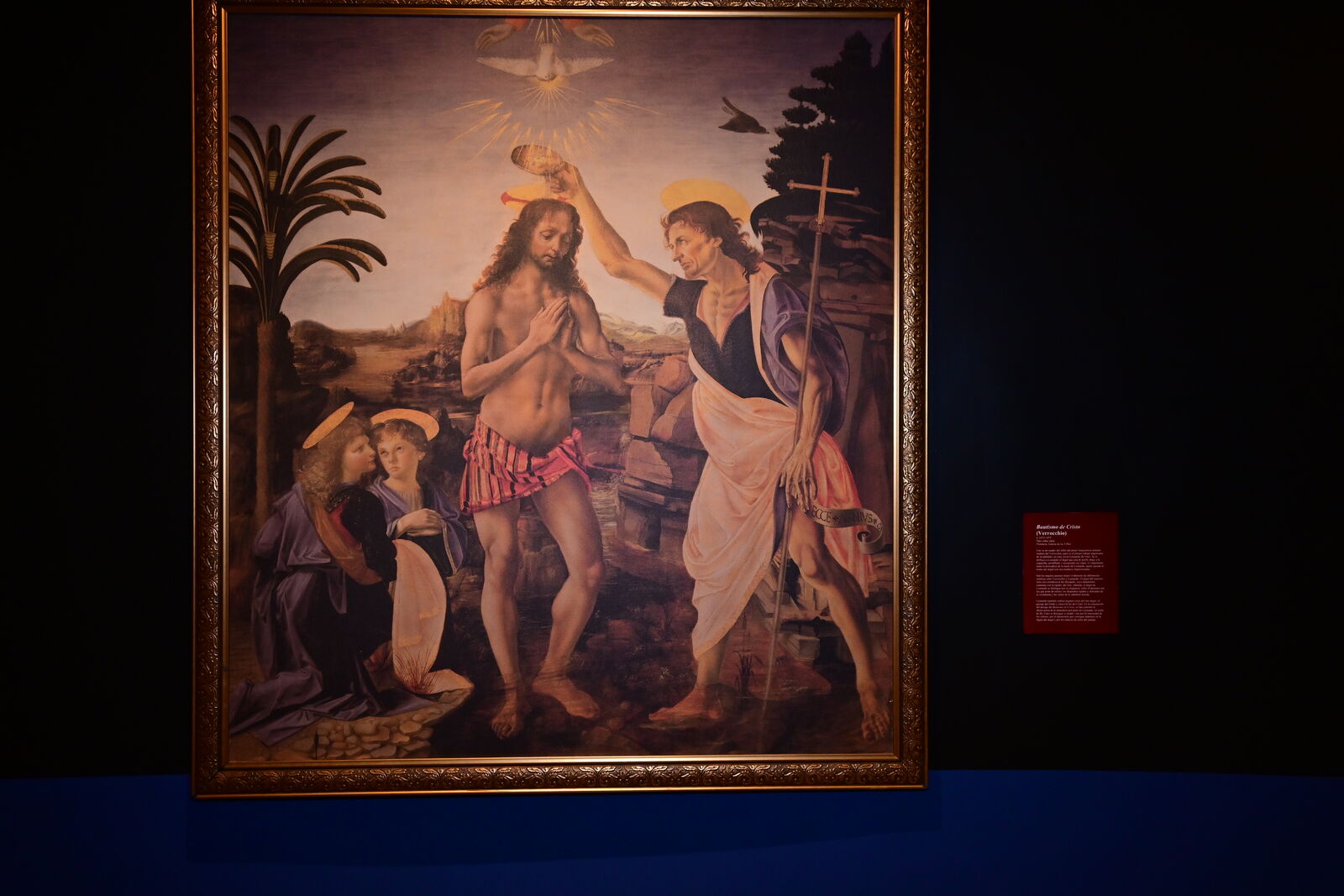 Da Vinci inmersisive 