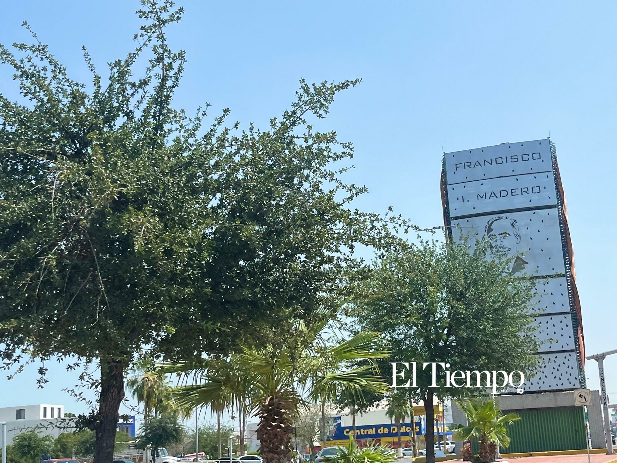 Día Mundial del Árbol; el legado verde que crece en las principales avenidas de Monclova