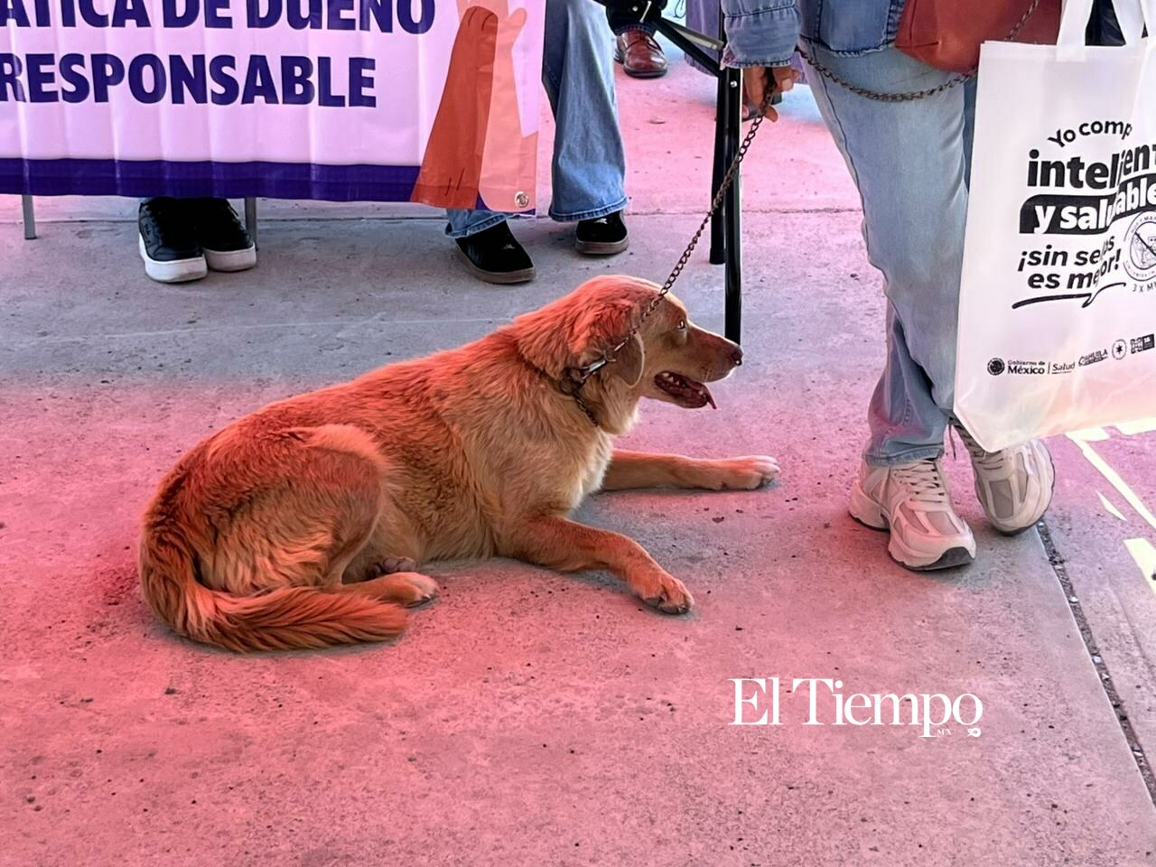 Brigada de Salud Animal reúne a decenas de familias en la colonia 21 de Marzo para fortalecer la prevención