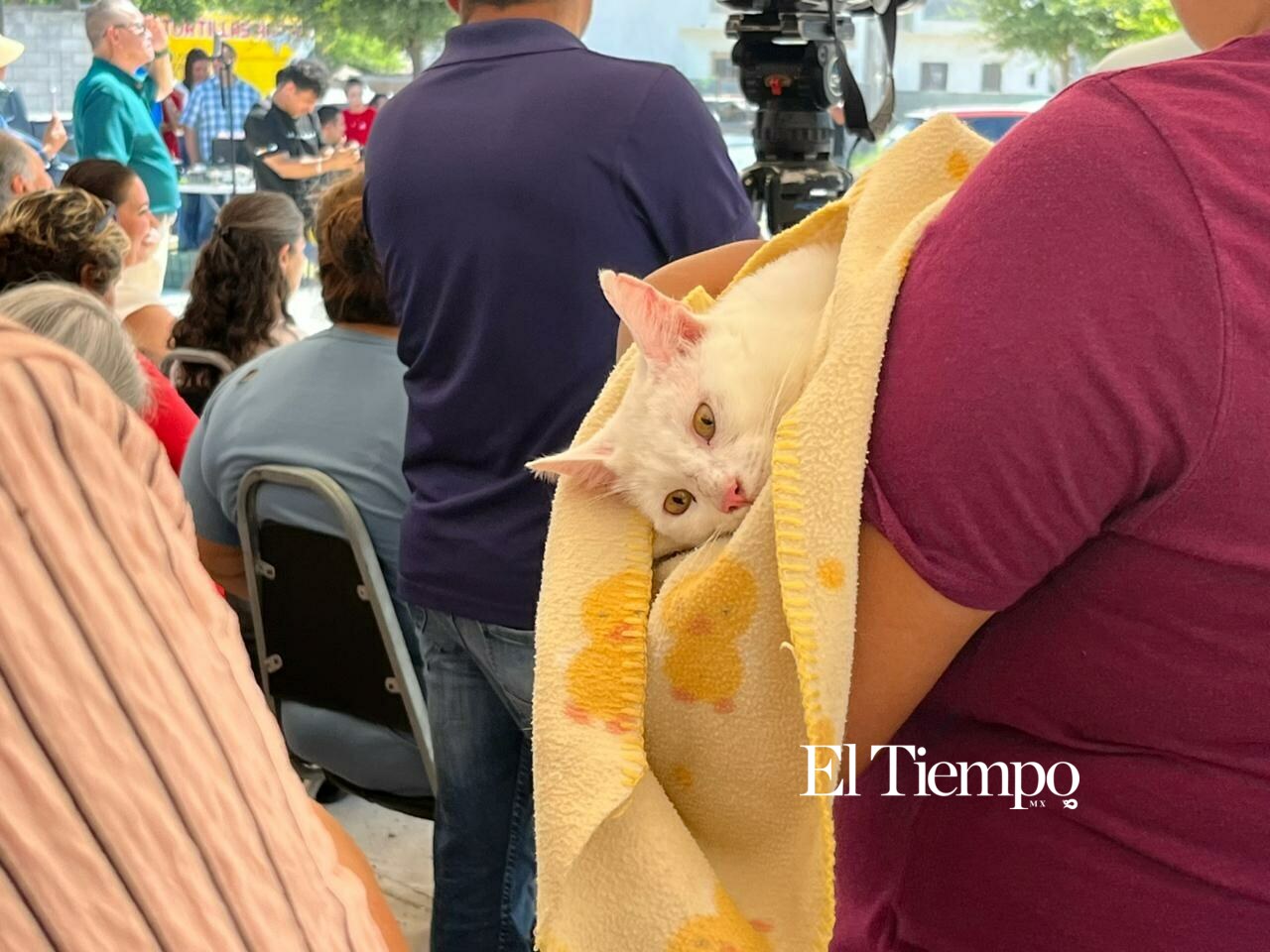 Brigada de Salud Animal reúne a decenas de familias en la colonia 21 de Marzo para fortalecer la prevención