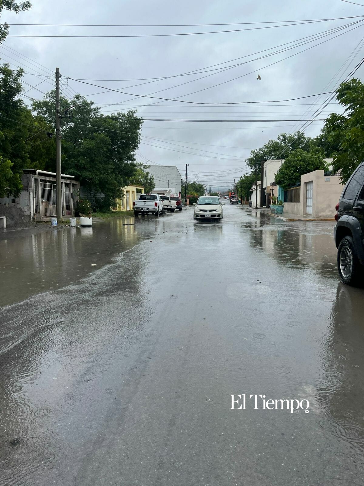 Bajo el agua: las imágenes de una jornada de emergencia