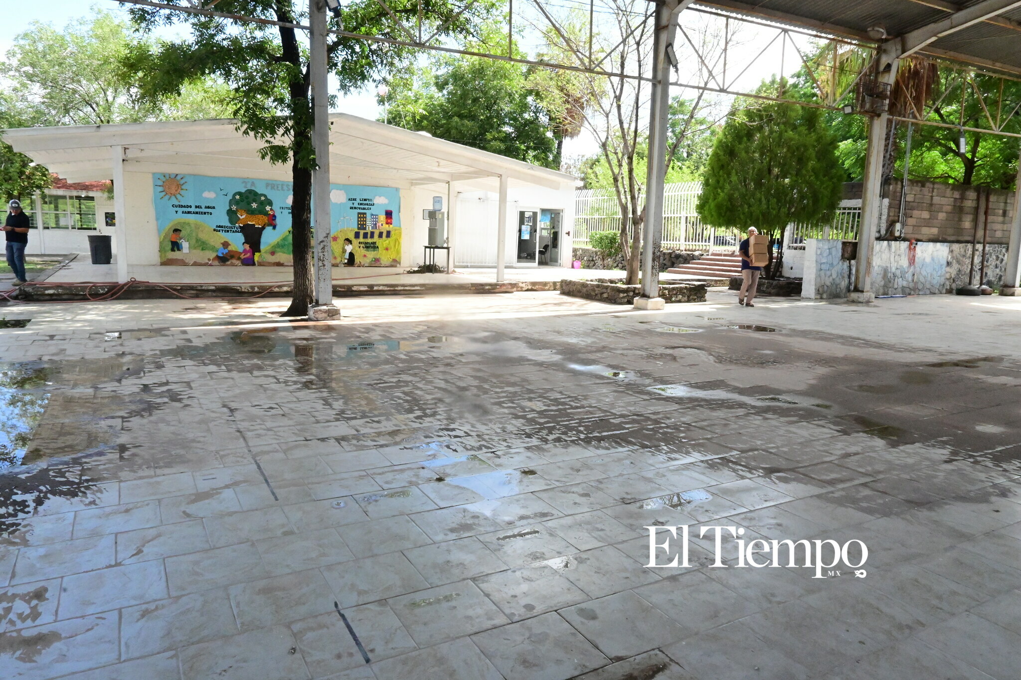 Entre humedad y grietas: el rastro que dejó la lluvia