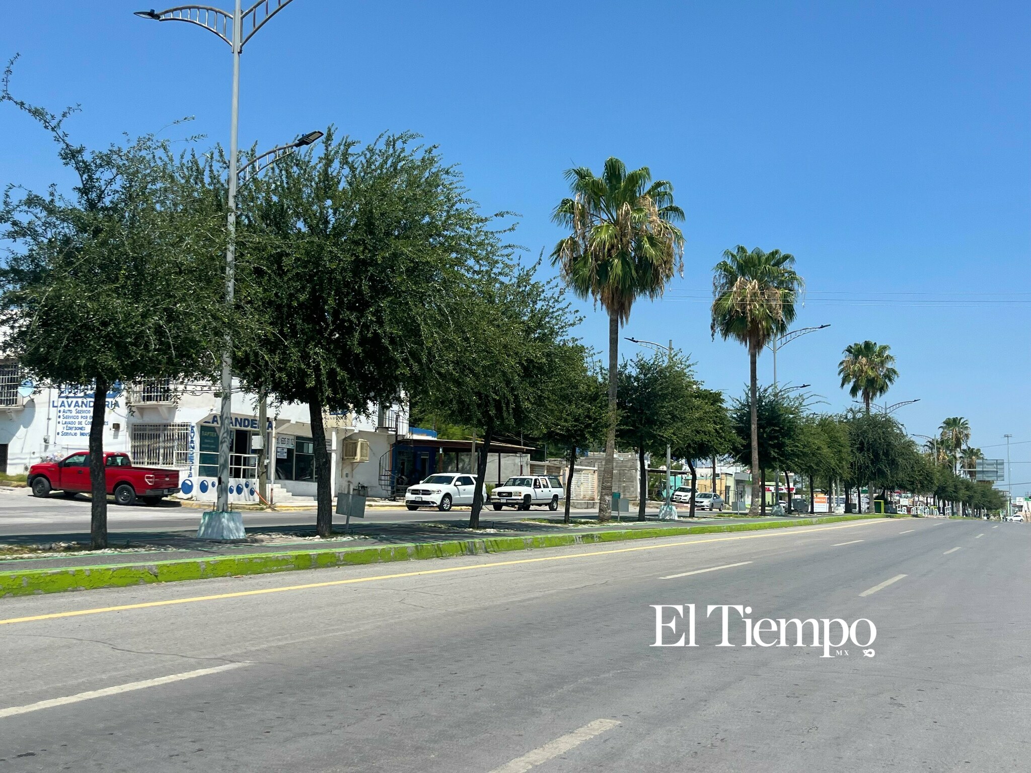 Día Mundial del Árbol; el legado verde que crece en las principales avenidas de Monclova