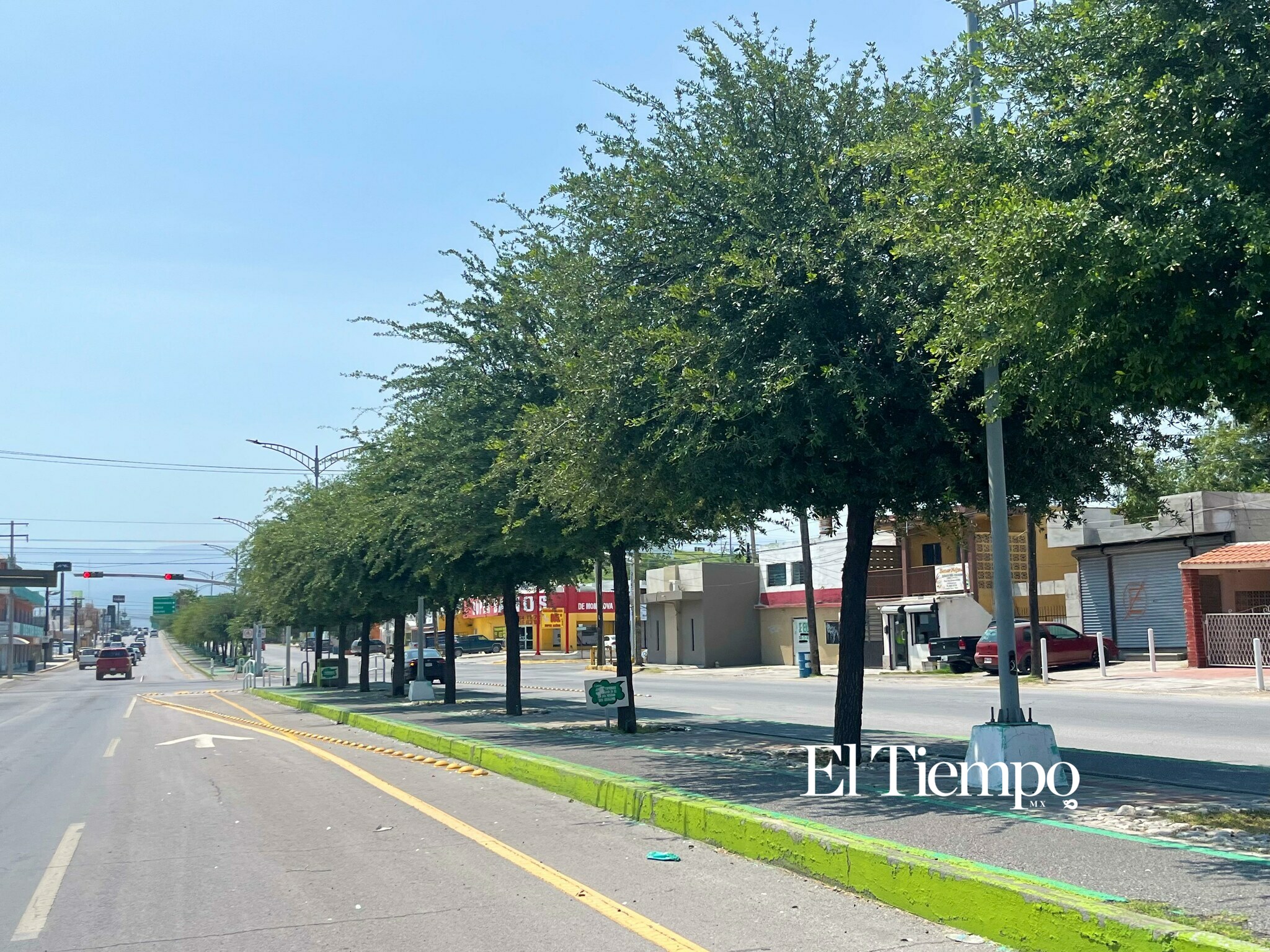 Día Mundial del Árbol; el legado verde que crece en las principales avenidas de Monclova