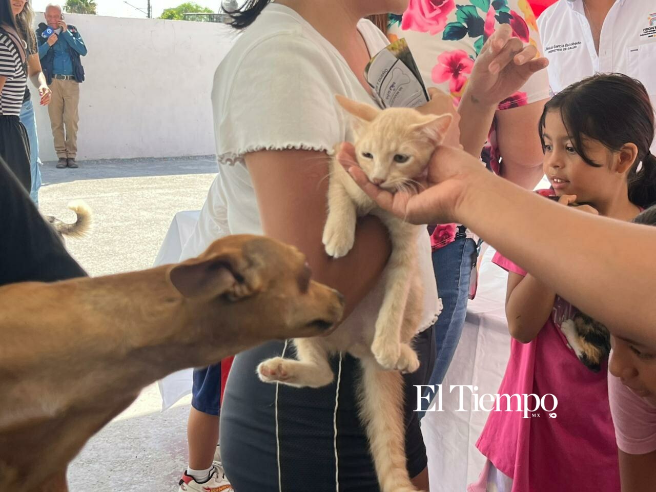Alta participación ciudadana en Brigada Integral de Salud Animal en Frontera