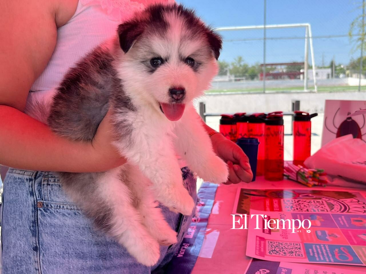 Brigada de Salud Animal reúne a decenas de familias en la colonia 21 de Marzo para fortalecer la prevención