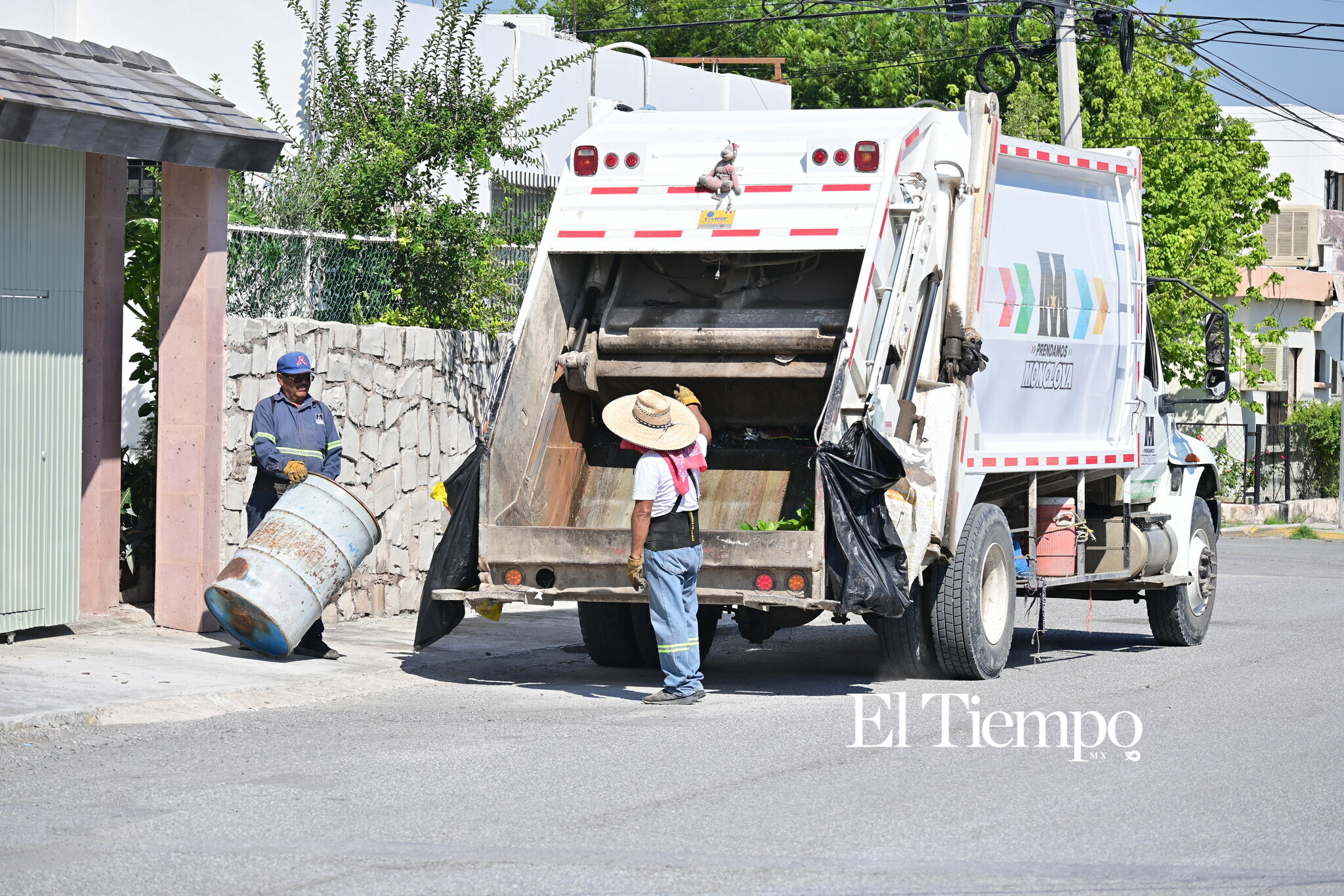 Galería fotográfica: 