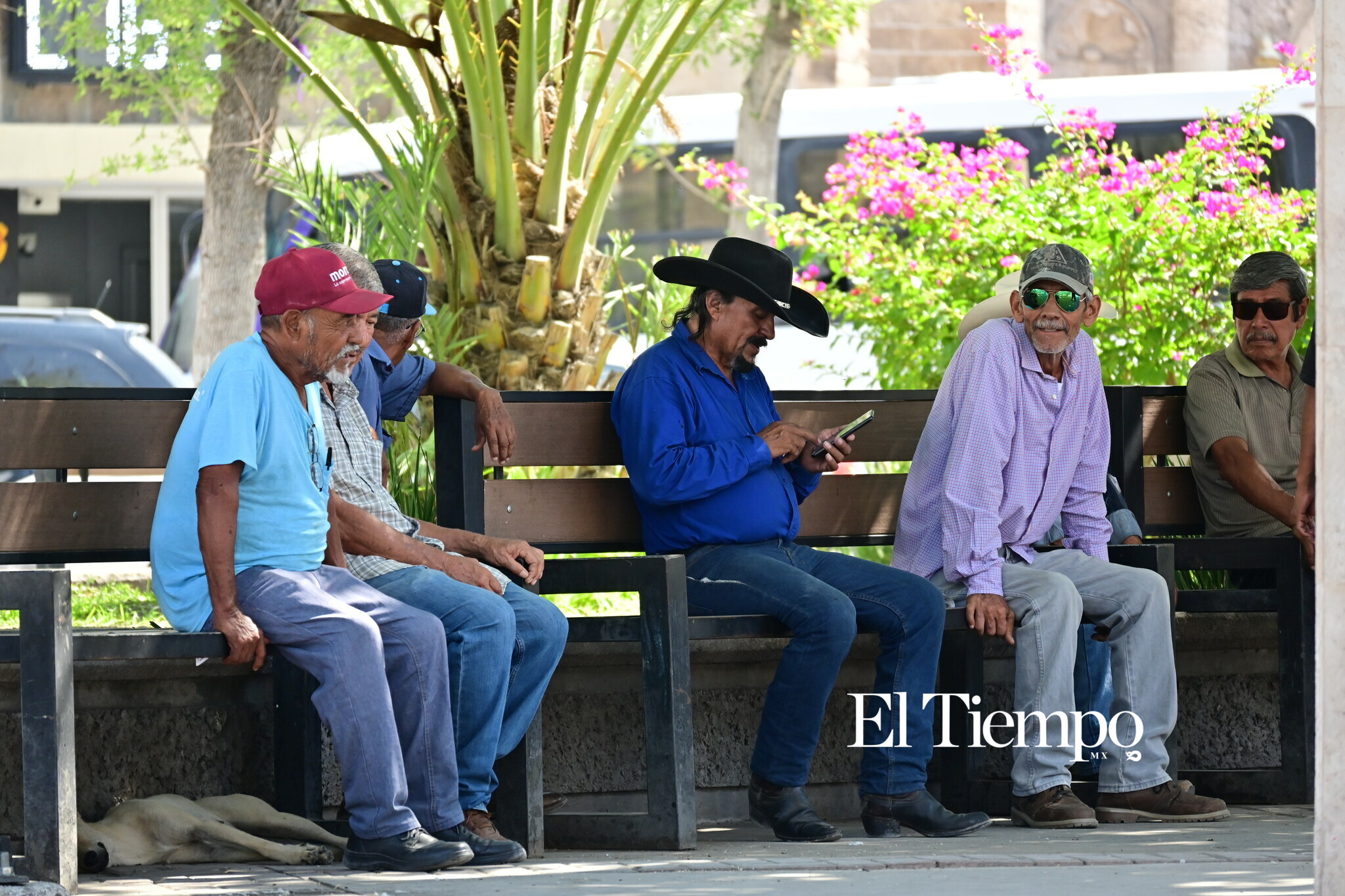 Donde la conversación nunca envejece