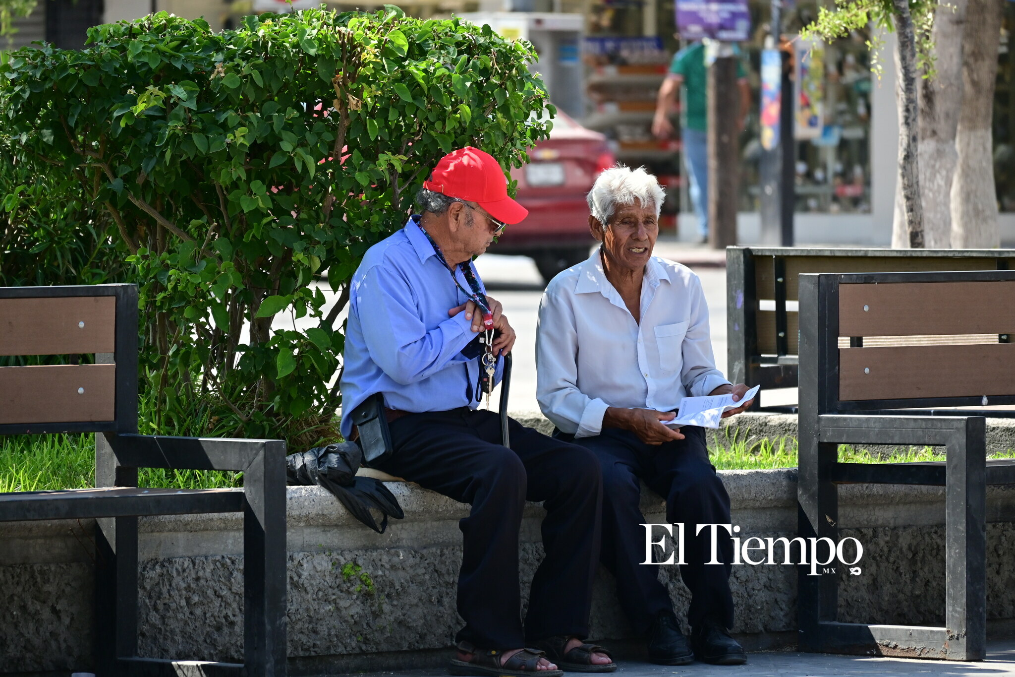 Donde la conversación nunca envejece