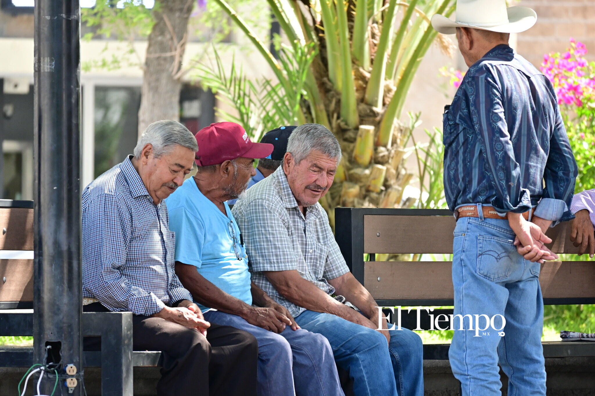 Donde la conversación nunca envejece