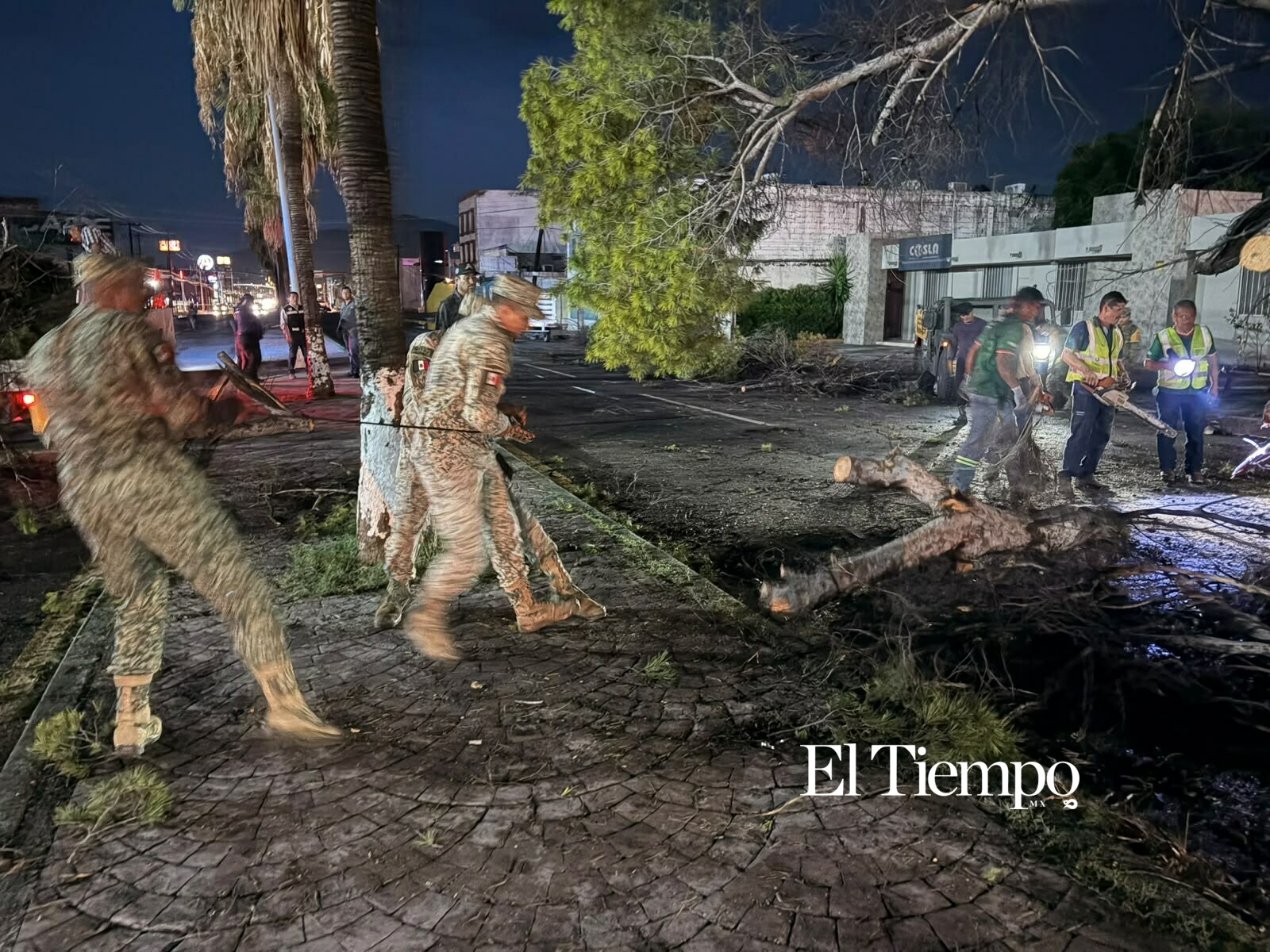 Ejército Mexicano retira árboles y espectaculares tras las lluvias en Monclova