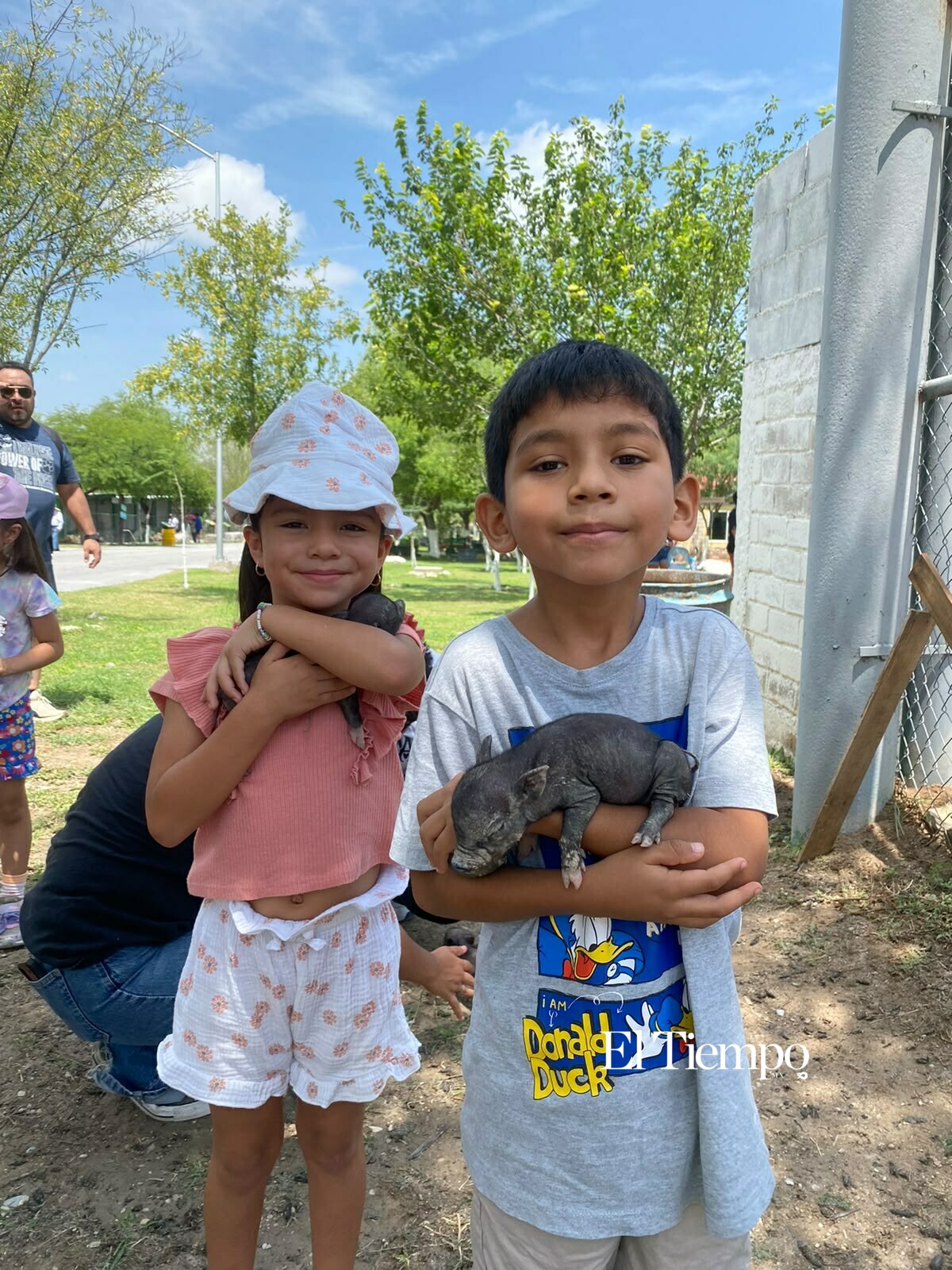 Nacen cerditos enanos vietnamitas en Ecoparque de Monclova