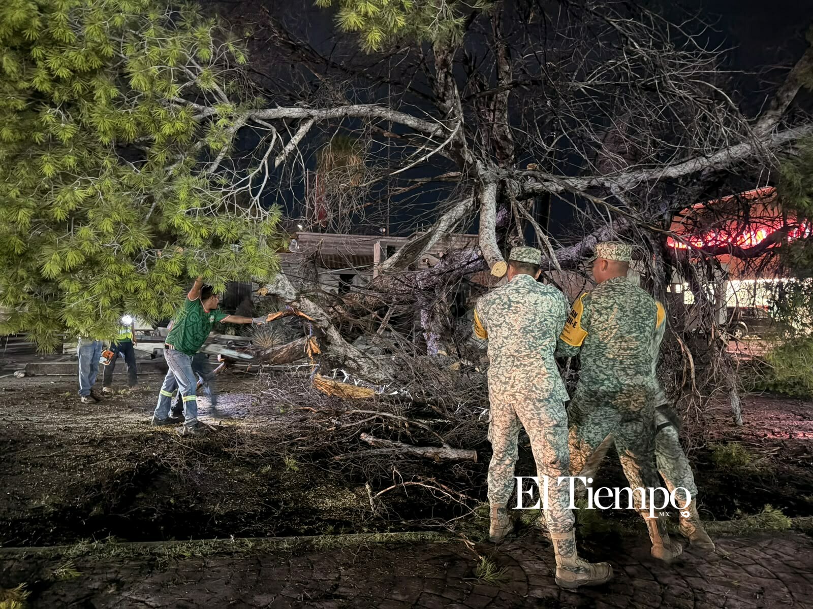 Galería fotográfica: Ejército Mexicano retira árboles y espectaculares tras las lluvias en Monclova