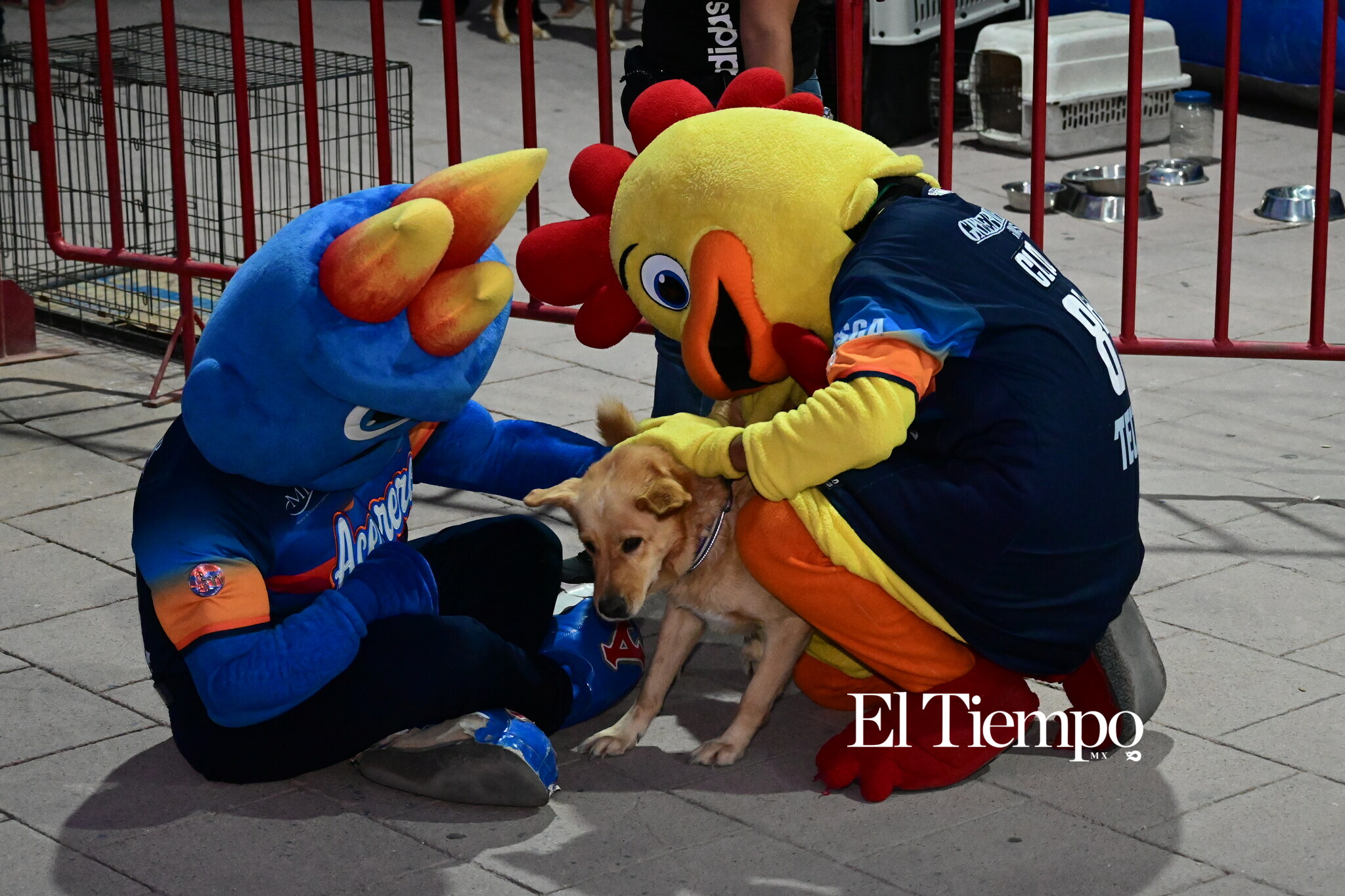 La afición responde en una noche de béisbol con causa